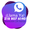 Conversemos en línea